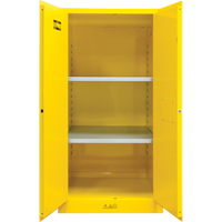 Armoire pour produits inflammables, 60 gal., 2 Porte(s), 34" La x 65" h x 34" p TGS INDUSTRIEL