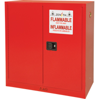 Paint/Ink Cabinet, 45 gal., 3 Shelves TGS INDUSTRIEL