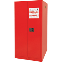 Armoire pour peintures et encres, 96 gal., 5 tablettes TGS INDUSTRIEL