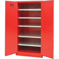 Armoire pour peintures et encres, 96 gal., 5 tablettes TGS INDUSTRIEL