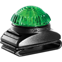 Guardian Warning Light, Continuous/Flashing, Green TGS INDUSTRIEL