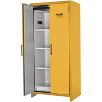 Armoire d'entreposage 90 minutes s&eacute;curitaire et conforme &agrave; la norme EN, 30 gal., 2 Porte(s), 35,16" La x 76,89" h x 24,21" p TGS INDUSTRIEL