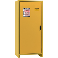 Armoire d'entreposage 30 minutes s&eacute;curitaire et conforme &agrave; la norme EN, 30 gal., 1 Porte(s), 34,02" La x 76,65" h x 24,21" p TGS INDUSTRIEL