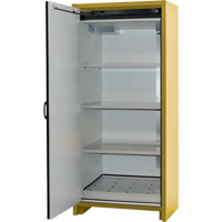 Armoire d'entreposage 30 minutes s&eacute;curitaire et conforme &agrave; la norme EN, 30 gal., 1 Porte(s), 34,02" La x 76,65" h x 24,21" p TGS INDUSTRIEL