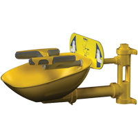 Halo Face/Eyewash Stations, Wall-Mount Installation, Plastic Bowl TGS INDUSTRIEL