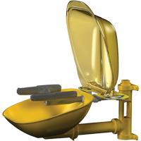 Halo Face/Eyewash Stations, Wall-Mount Installation, Plastic Bowl TGS INDUSTRIEL