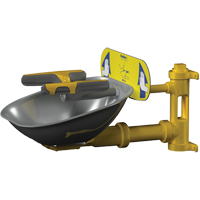 Halo Face/Eyewash Stations, Wall-Mount Installation, Stainless Steel Bowl TGS INDUSTRIEL