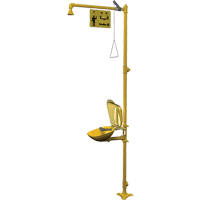 Halo Combination Emergency Shower & Eyewash Station TGS INDUSTRIEL