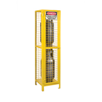 Gas Cylinder Cabinets, 2 Cylinder Capacity, 17" W x 17" D x 69" H, Yellow TGS INDUSTRIEL