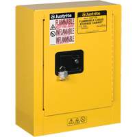 Mini-armoires de s&eacute;curit&eacute; Sure-Grip EX pour produits inflammables, 2 gal., 1 Porte(s), 17" La x 22" h x 8" p TGS INDUSTRIEL