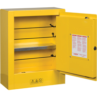 Mini-armoires de s&eacute;curit&eacute; Sure-Grip EX pour produits inflammables, 2 gal., 1 Porte(s), 17" La x 22" h x 8" p TGS INDUSTRIEL