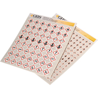 Assortiment d'&eacute;tiquettes avec pictogrammes sgh, Vinyle, Feuille, 1" lo x 1" la TGS INDUSTRIEL