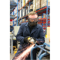 Lunettes &agrave; coques de s&eacute;curit&eacute; avec visi&egrave;re de s&eacute;rie Z2300, Lentille Transparent, Antibu&eacute;e, Ventilation Indirecte TGS INDUSTRIEL