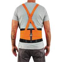 ProFlex 100HV Economy Spandex Hi-Vis Back Support Brace, Elastic, X-Small TGS INDUSTRIEL