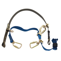 Dispositif &agrave; sangle pour escalade de poteau Cynch-Lok TGS INDUSTRIEL