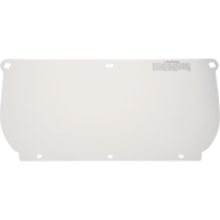 Visi&egrave;re, Polycarbonate, Teinte Transparent TGS INDUSTRIEL
