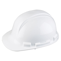 Casque de s&eacute;curit&eacute; Whistler de North, R&eacute;pond aux normes CSA type 1, Suspension Rochet, Non ventil&eacute; TGS INDUSTRIEL