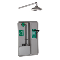 Douche et douche oculaire/faciale ADA, Montage au plafond TGS INDUSTRIEL