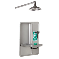 Eye/Face Wash and Shower, Ceiling-Mount TGS INDUSTRIEL