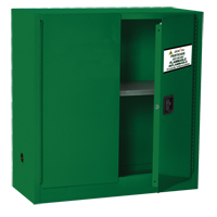 Armoire de rangement pour pesticides, 30 gal., 44" h x 43" l x 18" p TGS INDUSTRIEL