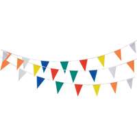 Pennant String, 60' L, Multicolour TGS INDUSTRIEL