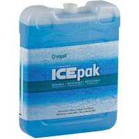 Ice-Pak IP-200 Reusable Transport Ice Pack TGS INDUSTRIEL