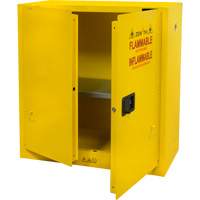 Armoire pour produits inflammables, 30 gal., 2 Porte(s), 43" La x 44" h x 18" p TGS INDUSTRIEL