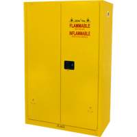 Flammable Storage Cabinet, 45 gal., 2 Door, 43" W x 65" H x 18" D TGS INDUSTRIEL