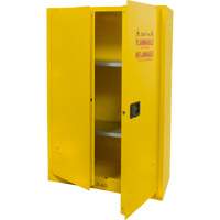 Flammable Storage Cabinet, 45 gal., 2 Door, 43" W x 65" H x 18" D TGS INDUSTRIEL