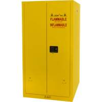 Armoire pour produits inflammables, 60 gal., 2 Porte(s), 34" La x 65" h x 34" p TGS INDUSTRIEL