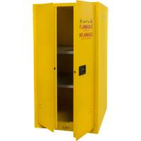Armoire pour produits inflammables, 60 gal., 2 Porte(s), 34" La x 65" h x 34" p TGS INDUSTRIEL