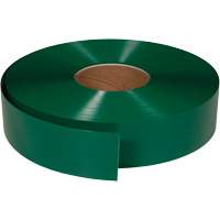 Ruban de marquage tr&egrave;s r&eacute;sistant pour plancher ArmorStripe, 2" x 100', PVC, Vert TGS INDUSTRIEL