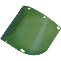 &eacute;cran facial form&eacute; Dynamic, Polycarbonate, Teinte Vert TGS INDUSTRIEL