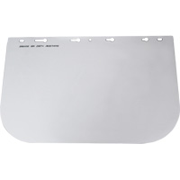 390 Series Replacement Faceshield, Acetate, Clear Tint TGS INDUSTRIEL