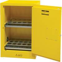 Armoire de rangement pour a&eacute;rosols inflammables, 12 gal., 1 Porte(s), 23" La x 35" h x 18" p TGS INDUSTRIEL
