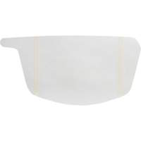 Primair&reg; 900 Series Peel-Off Visor Cover TGS INDUSTRIEL