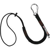 Squids 3105 Tool Lanyard, Bungee, Carabiner/Loop TGS INDUSTRIEL