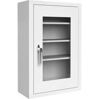 Lockable Medicine Cabinet with Plexiglas Door TGS INDUSTRIEL