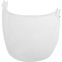 Lentilles de remplacement d&eacute;cran facial, Polycarbonate, Teinte Transparent TGS INDUSTRIEL