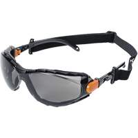 XPS502 Sealed Safety Glasses, Smoke Lens, Anti-Fog/Anti-Scratch TGS INDUSTRIEL