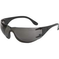 Adapt Safety Glasses, Smoke Lens, Anti-Fog/Anti-Scratch, ANSI Z87+/Meets/Exceeds CSA Z94.3 TGS INDUSTRIEL