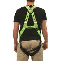 FBH-10000L Contractor Series Safety Harness, CSA Certified, Class AL, 400 lbs. Cap. TGS INDUSTRIEL