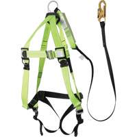 FBH-10000A5440-4 Harnais & longe classe A de 4' avec capacit&eacute; de 220 lb, Combinaison harnais/longe TGS INDUSTRIEL