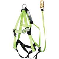 FBH-10000A6440-4 Harnais & longe classe A de 4' avec capacit&eacute; de 350 lb, Combinaison harnais/longe TGS INDUSTRIEL