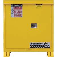 Armoire ext&eacute;rieure pour produits inflammables, 30 gal., 2 Porte(s), 43" La x 44" h x 18" p TGS INDUSTRIEL