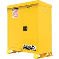 Armoire ext&eacute;rieure pour produits inflammables, 30 gal., 2 Porte(s), 43" La x 44" h x 18" p TGS INDUSTRIEL