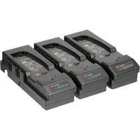 Emballage de chargeur de pile &agrave; trois postes Versaflo  pour APR motoris&eacute; TR-300+ TGS INDUSTRIEL