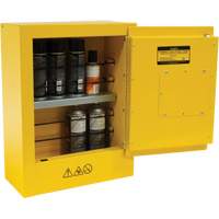 Armoire de s&eacute;curit&eacute; miniature pour produits inflammables, 2 gal., 1 Porte(s), 17" La x 22" h x 8" p TGS INDUSTRIEL