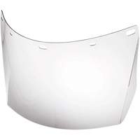 Lentille de rechange pour visi&egrave;re compl&egrave;te sans rev&ecirc;tement, Polycarbonate, Teinte Transparent TGS INDUSTRIEL
