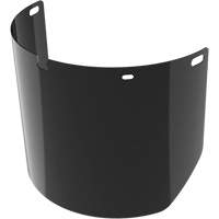 Lentille de rechange pour visi&egrave;re compl&egrave;te sans rev&ecirc;tement, Polycarbonate, Teinte 5,0 TGS INDUSTRIEL